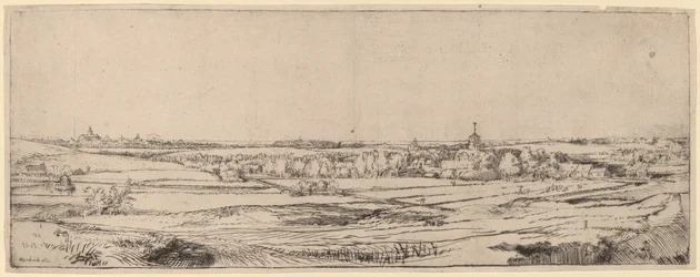 Landschap met uitzicht op Haarlem (Het veld van de goudweger)