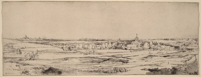 Landschap met uitzicht op Haarlem (Het Goudweegersveld)