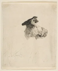 Oude Man die zijn Ogen Schaduwt met zijn Hand, ca. 1639