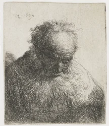 Oude man met een golvende baard, de linkerschouder onbeschaduwd; Buste van een oude man met een golvende baard: het hoofd voorovergebogen, linkerschouder onbeschaduwd