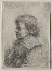 Portret van een Jongen in Profiel, 1641