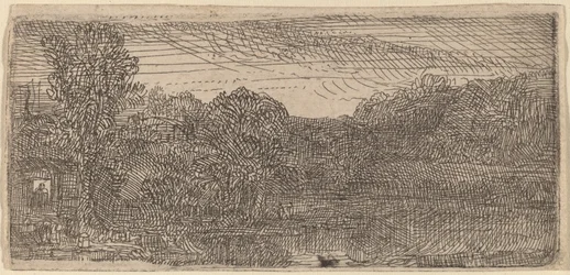 Klein grijs landschap: een huis en bomen naast een vijver