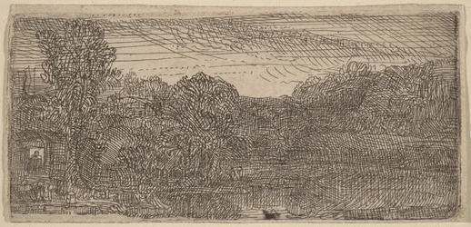Klein grijs landschap: een huis en bomen naast een zwembad