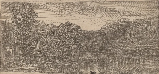 Klein grijs landschap: een huis en bomen naast een vijver