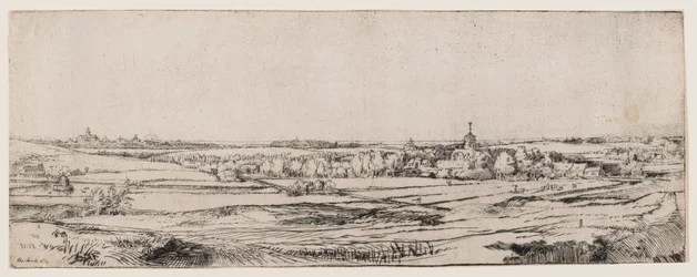 Het veld van de goudweegster
