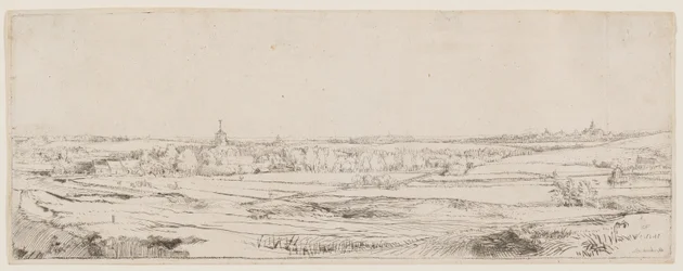 Het veld van de goudweegster