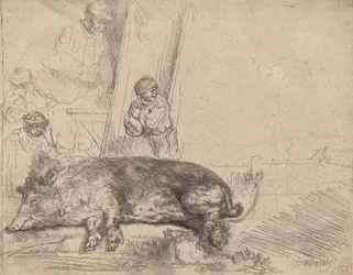 Het varken, 1643