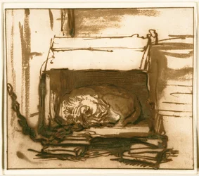 Slapende waakhond