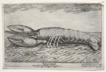 Zeeslag op de Arno Rivier in Florence, voor het Huwelijk van Cosimo di Medici Prins van Toscane, en Maria Maddalena van Oostenrijk, in 1608: Periclemene