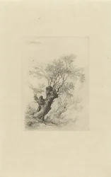 Wilgenboom