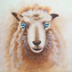 Schaap