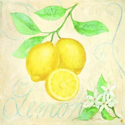 Verse citroenen – Botanisch