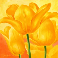 Zonnige gele tulpen