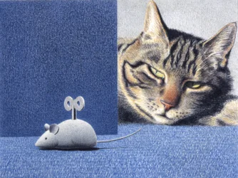 Muis
