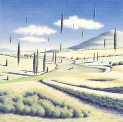 Toscaanse bomen