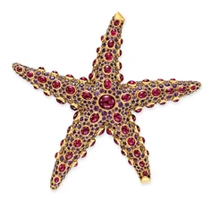 Zeester broche