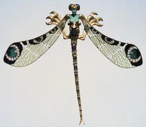 Pectoraal, late 19e-20e eeuw