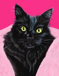 Levendig portret van een zwarte kat
