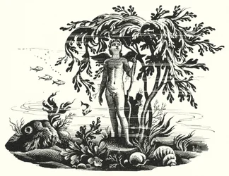 Hans Christian Andersen: De Kleine Zeemeermin