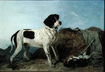 Oude Jack - Een wijzer