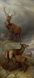 Het hertenkamp
