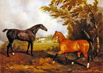 Ruiterscène