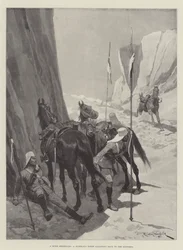 Een Stomme Boodschapper, een Ruiterloos Paard dat Terug Galoppeert naar de Ondersteuning