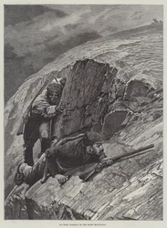 Grote hoorn die in de Rocky Mountains stalkt