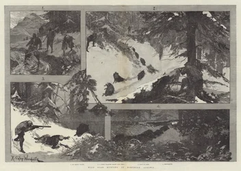 Wilde Zwijnenjacht in Noord-Albanië