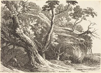 Landschap met grote bomen