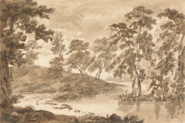Boslandschap