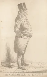 Mr Bowden; Is Kamille een Medicijn