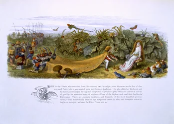 Illustraties uit 
