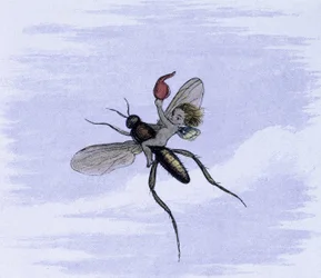 Een elf op de rug van een insect. Illustratie van Richard Doyle uit "In Fairy land. A series of pictures from the elf - world" vergezeld van een gedicht van W Allingham. 1869-1870