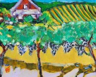 Merlot Druiven, Napa