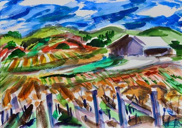Napa in de Herfst, 2017