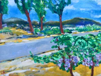 Wijngaard langs de Weg, Napa, 2017
