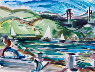 Zeilboten, Tiburon, 2017