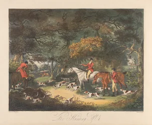 Vossenjacht: Het bos doorzoeken