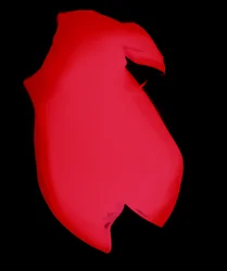 Zonder Titel, 2003