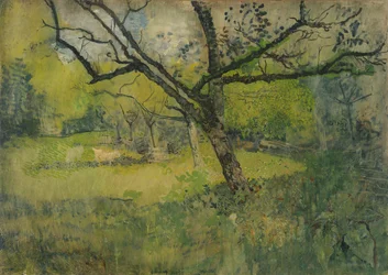 Boomgaard in Eemnes