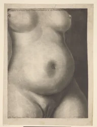 Torso van een zwangere vrouw