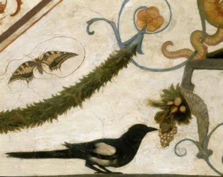 Groteske, vogel