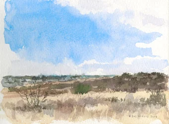 Winter op de prairie, 2014 (aquarel op papier)