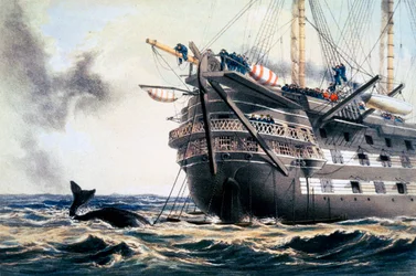 HMS 