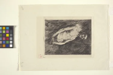 Figuur van een Man