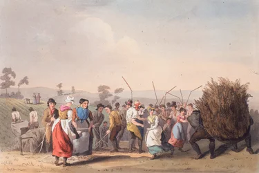 Rapen dorsen, 1 november 1813