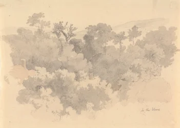 In de Vaux, Jersey