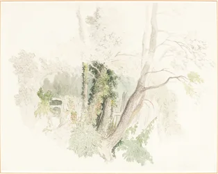 Bomen bij Beddington