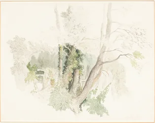 Bomen bij Beddington